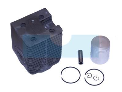Kit cylindre piston pour moteur Wacker (0099336)