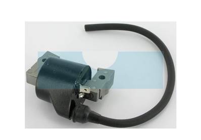 Bobine D'allumage Origine KAWASAKI Pieces Detachees KAWASAKI