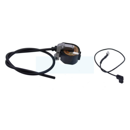 Bobine d'allumage pour tondeuse As Motor (E06465)