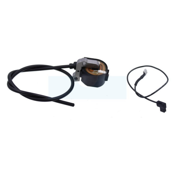 Bobine d'allumage pour tondeuse As Motor (E06465)