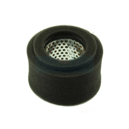 Filtre à air pour moteur Robin (1063270407)