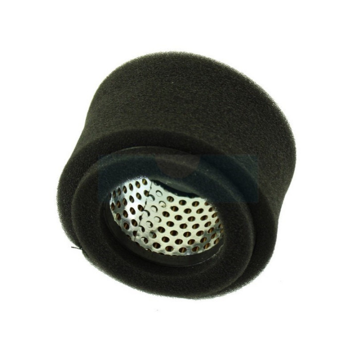 Filtre à air pour moteur Robin (1063270407)