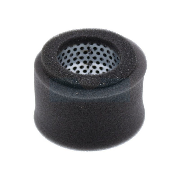 Filtre à air pour moteur Robin (1283260207)