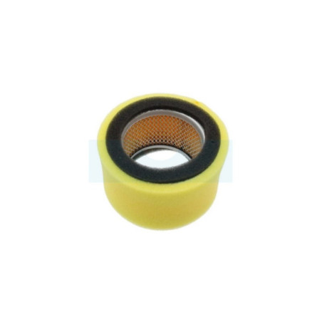 Filtre à air pour moteur Robin (1573620101)