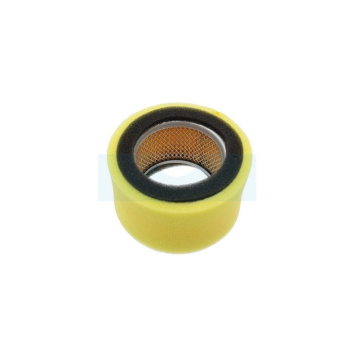 Filtre à air pour moteur Robin (1573620101)