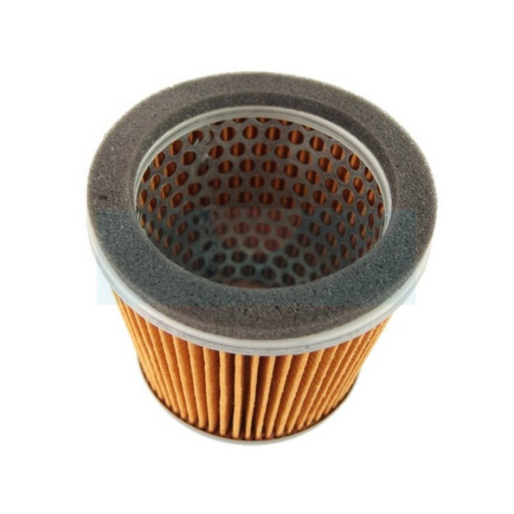 Filtre à air pour moteur Robin (2093262007)