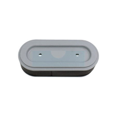 Filtre à air pour moteur Robin (2463260107)