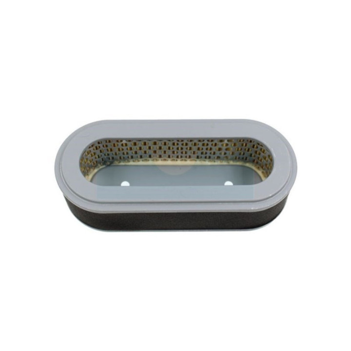 Filtre à air pour moteur Robin (2463260107)