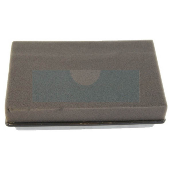 Filtre à air pour moteur Robin (2283280107)