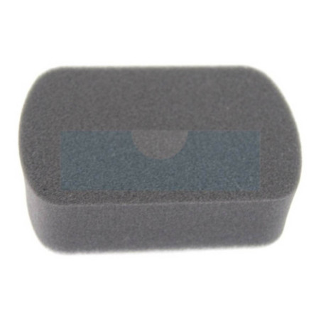 Filtre à air pour moteur Robin (2343600203)