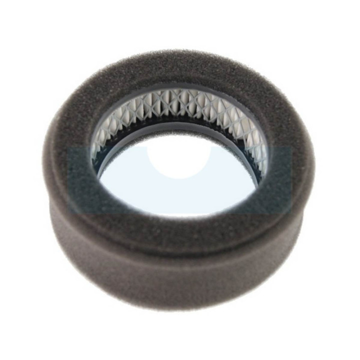 Filtre à air pour moteur Robin (2523260207)