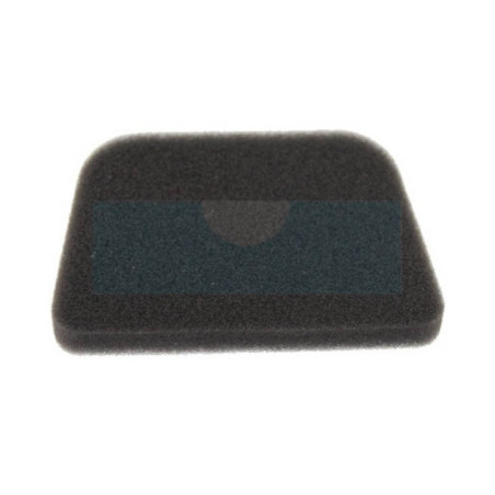 Filtre à air pour moteur Robin (5933501200)
