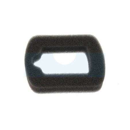 Filtre à air pour moteur Robin (5213500600)