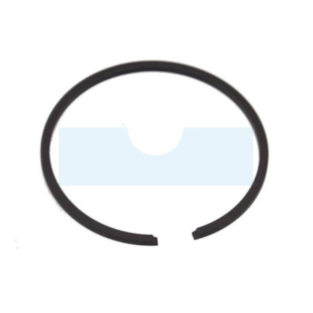 Segment pour Echo / Shindaiwa (A101000250)