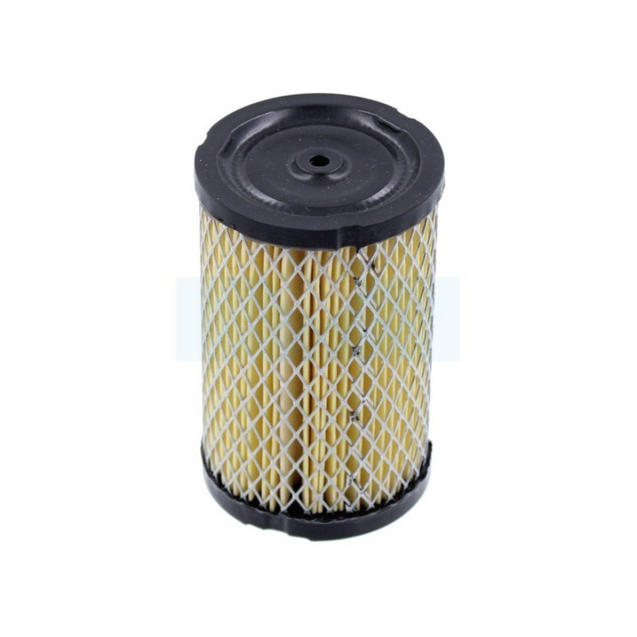 Filtre à air pour moteur Tecumseh (34700B)