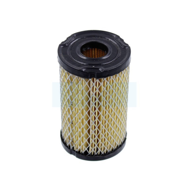 Filtre à air pour moteur Tecumseh (34700B)