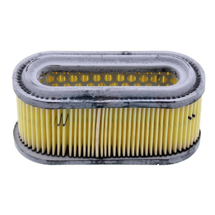 Filtre à air pour moteur Tecumseh (35850A)