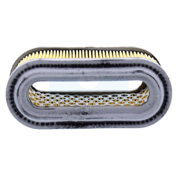 Filtre à air pour moteur Tecumseh (35850A)