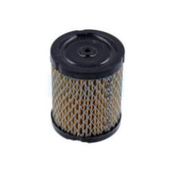 Filtre à air pour moteur Tecumseh (34782)