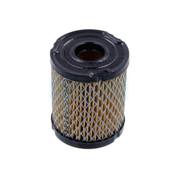 Filtre à air pour moteur Tecumseh (34782)