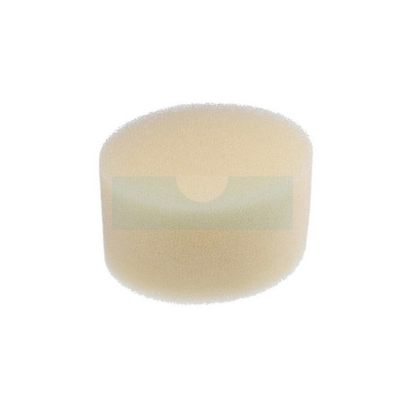 Filtre à air pour moteur Tecumseh (29961)