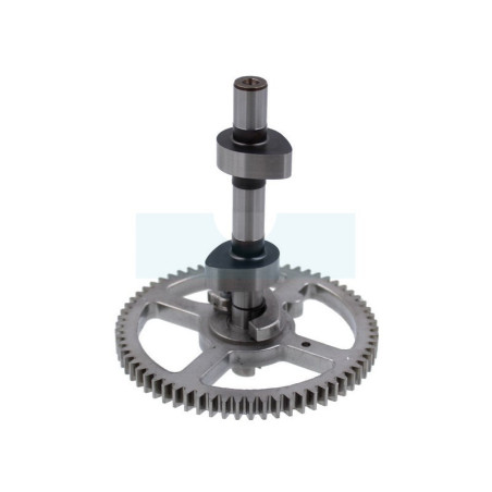Arbre à cames pour moteur Briggs & Stratton (793880)
