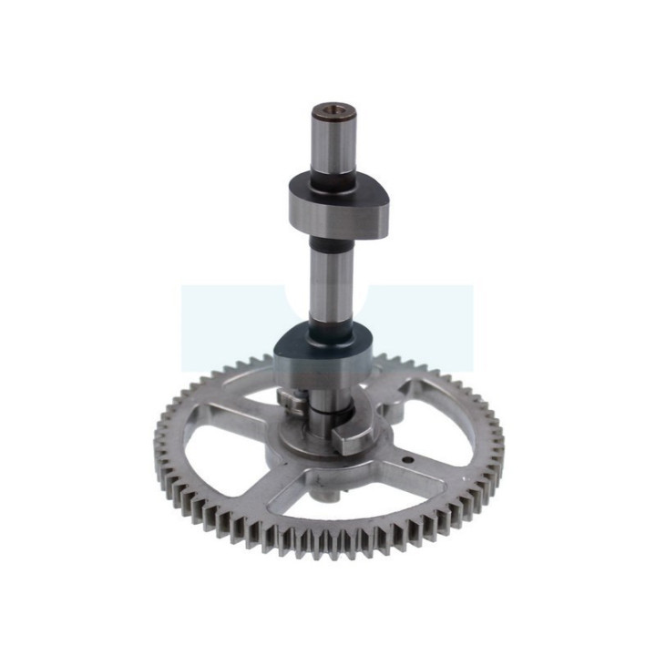Arbre à cames pour moteur Briggs & Stratton (793880)
