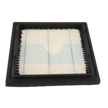 Filtre à air pour moteur Tecumseh (37360)