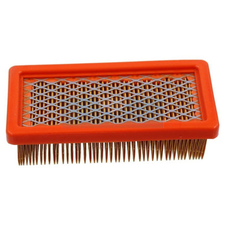 Filtre à air pour moteur Tecumseh (23410061)
