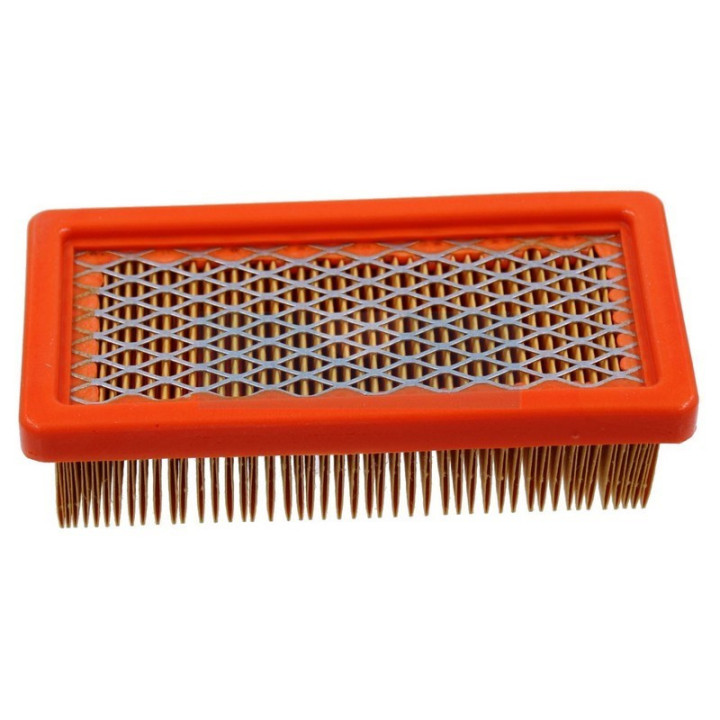 Filtre à air pour moteur Tecumseh (23410061)