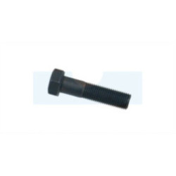 Vis de lame pour tondeuse Alpina (112735695/1)
