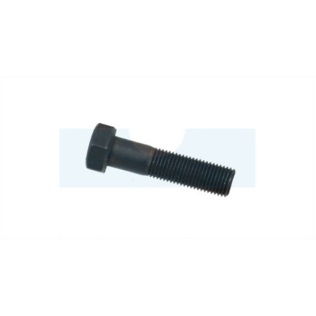 Vis de lame pour tracteur tondeuse Mc Culloch (583117001)