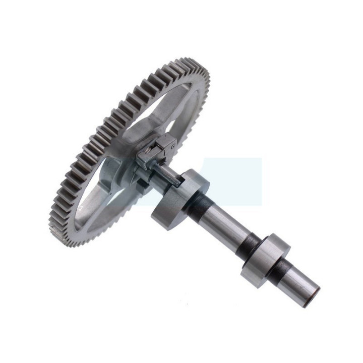 Arbre à cames pour moteur Briggs & Stratton (793880)