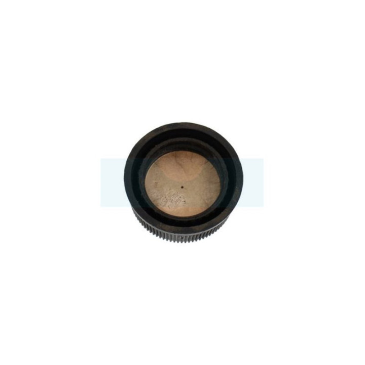 Bouchon d'essence pour moteur Tecumseh / Tecnamotor (23350020)