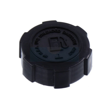 Bouchon d'essence pour moteur Briggs & Stratton (397974)