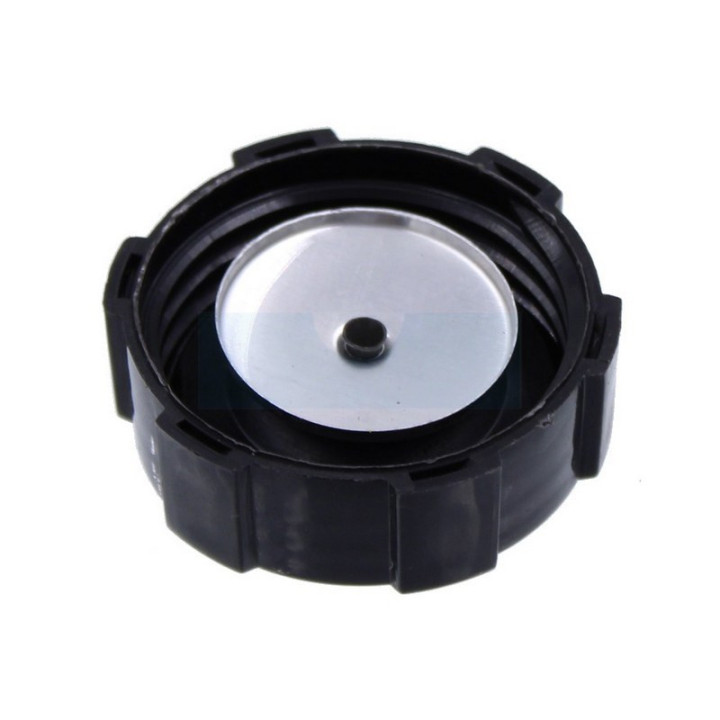 Bouchon d'essence pour moteur Briggs & Stratton (397974)