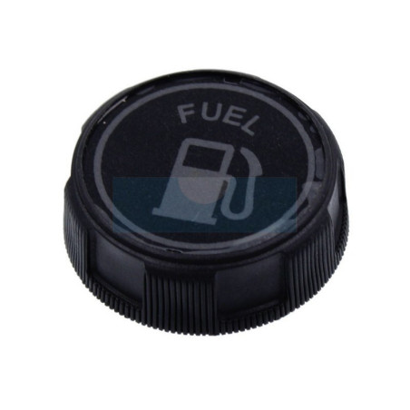 Bouchon d'essence pour moteur Briggs & Stratton (490075)