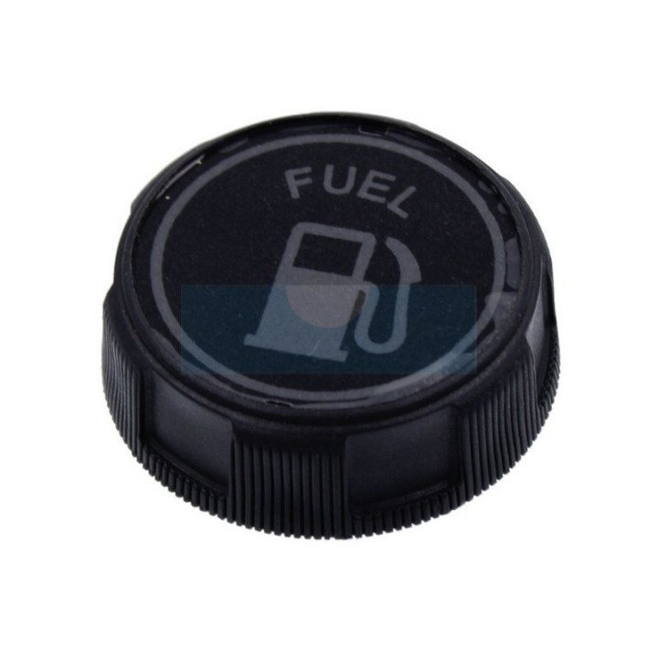 Bouchon d'essence pour moteur Briggs & Stratton (490075)