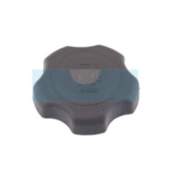 Bouchon d'essence pour moteur Briggs & Stratton (493988)