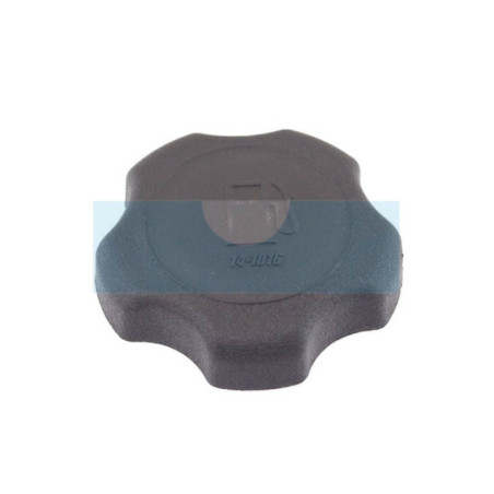 Bouchon d'essence pour moteur Briggs & Stratton (493988)