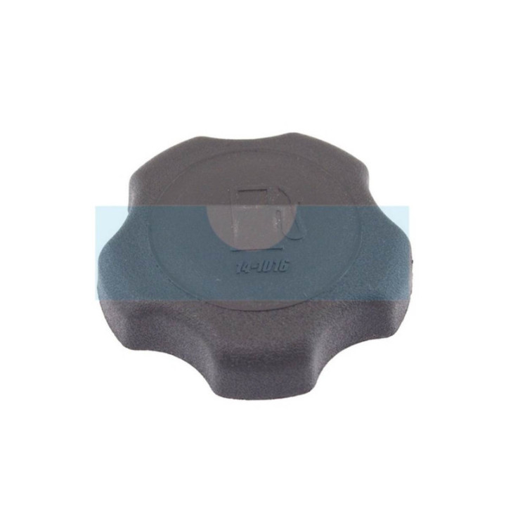 Bouchon d'essence pour moteur Briggs & Stratton (493988)