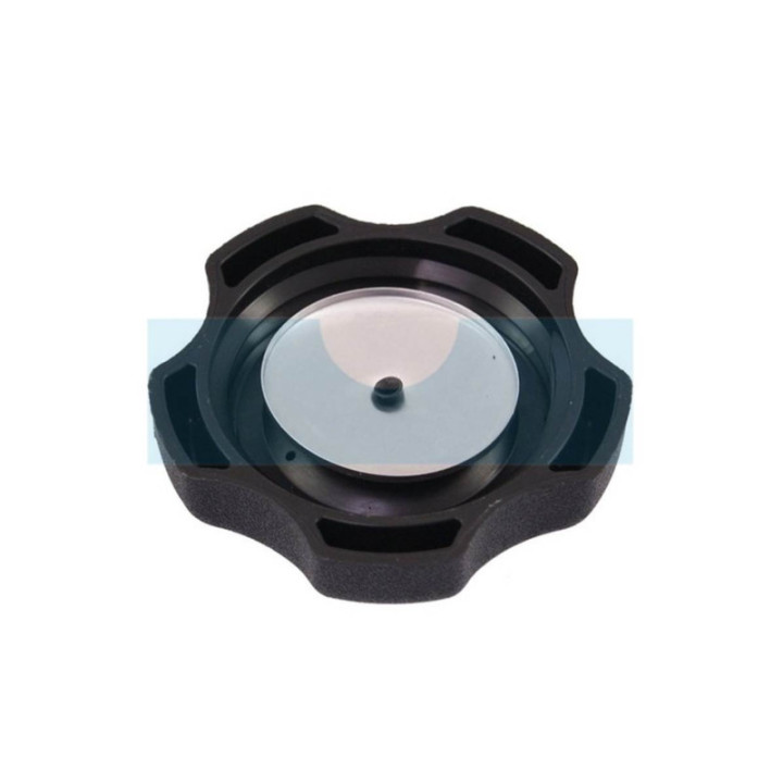 Bouchon d'essence pour moteur Briggs & Stratton (493988)