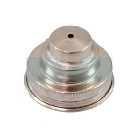 Bouchon d'essence pour moteur Briggs & Stratton (69221)