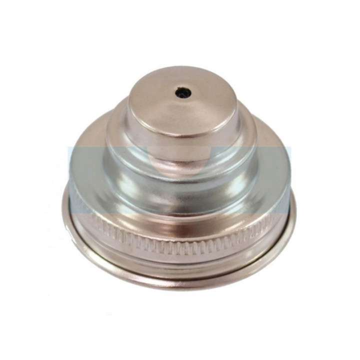 Bouchon d'essence pour moteur Briggs & Stratton (69221)