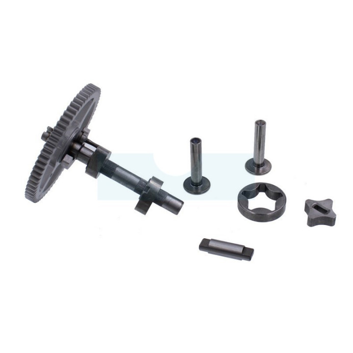 Arbre à cames pour moteur Briggs & Stratton (790340)