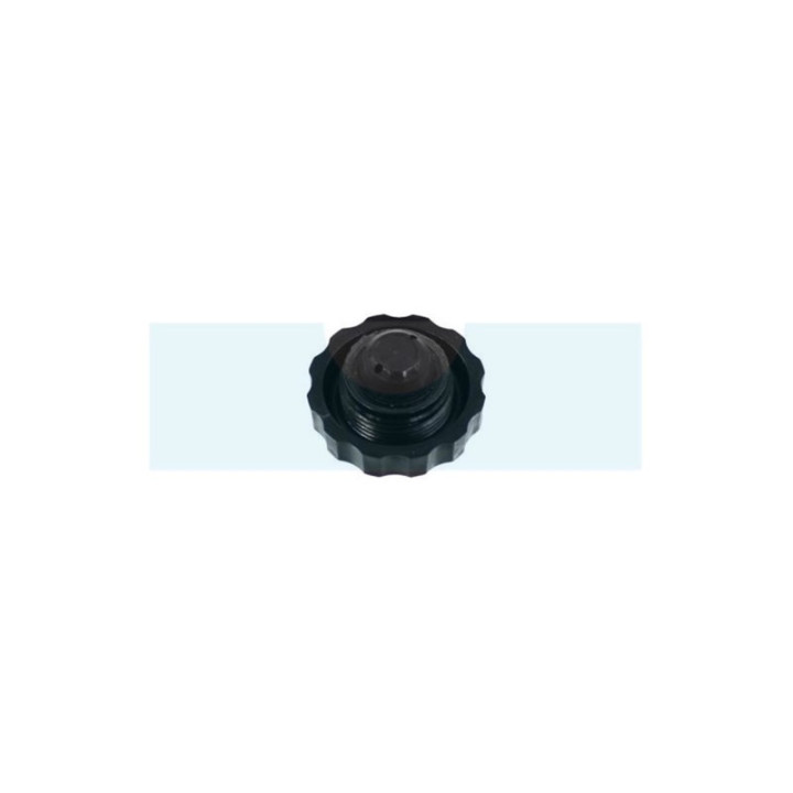 Bouchon d'essence pour moteur Intermotor (9043048)