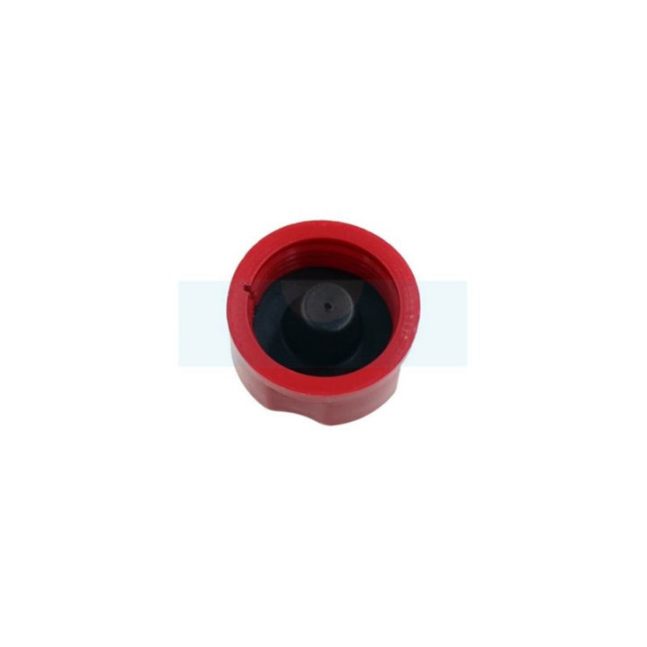Bouchon d'essence pour moteur Kawasaki (510492058)