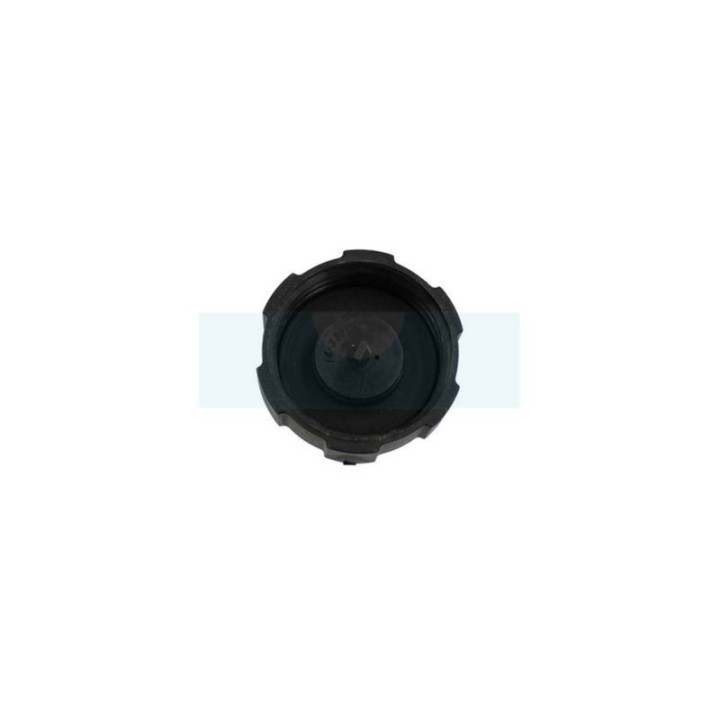 Bouchon d'essence pour coupe-bordure / souffleur / motobineuse Ryobi (180000R)