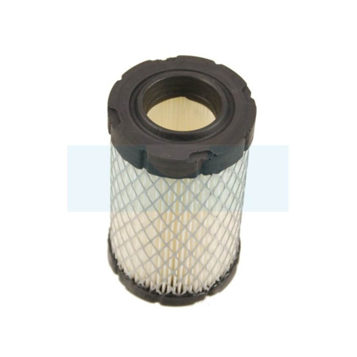 Filtre à air pour moteur Briggs & Stratton (796031)