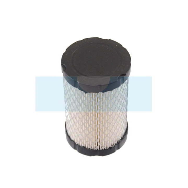 Filtre à air pour moteur Briggs & Stratton (796031)